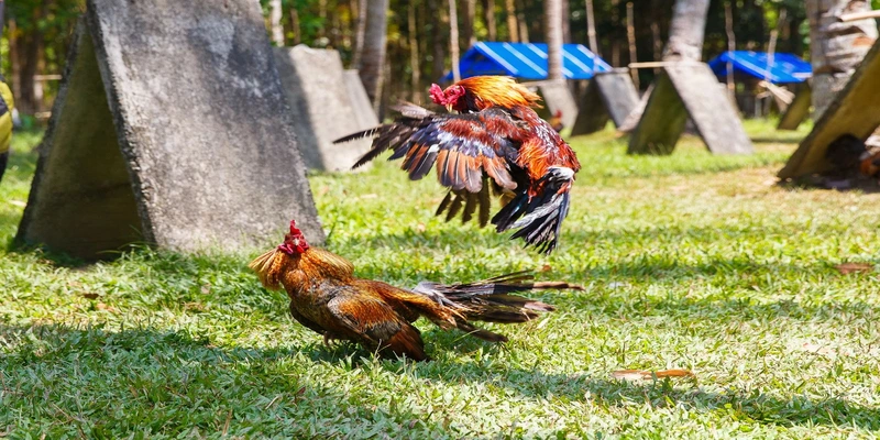 Một trận thông thường kéo dài thành các hiệp